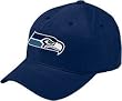 Seattle Seahawks Basic Logo Brushed Cap Structured Adjustable Cap