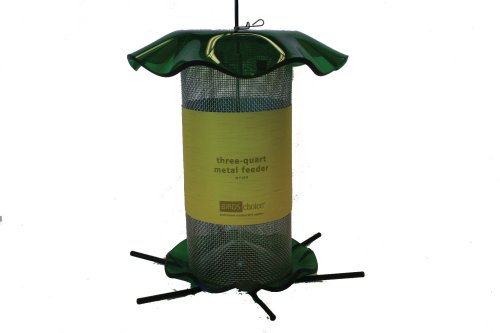 Forever Nyjer Feeder 3 - Green