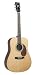 Recording King Classic Series II Dreadnought Acoustic Guitar, Solid Mahogany Back & Sides