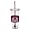 Montana Grizzlies