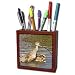 VWPics Animals - Long-Billed Curlew in the water makes a hugh splash as it baths.Back Bay Reserve,California - Tile Pen Holders-5 inch tile pen holder
