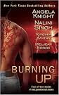 Burning Up Publisher: Berkley
