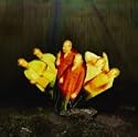 Dean Magraw "Unseen Rain"