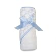 Hooded Towels Organic Terry Velour - Pastel Blue Mod Circles on Ivory