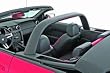 2005-2007 Ford Mustang Convertible Styling Bar Incl. Rear-Mounted Stoplight/Wiring Harness Camel
