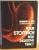 Your stomach and digestive tract