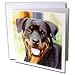 rottweiler33 - Dogs Rottweiler Rottweiler Greeting Cards12 Greeting Cards with