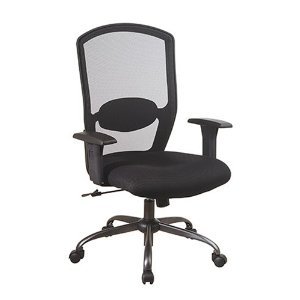 Screen Back Mesh Chair with Mesh Seat