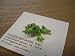 Kitchen & Housewares : Hagen Renaker Baby Frog Figurine
