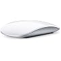 Apple Magic Mouse MB829J/A