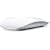 Apple Magic Mouse MB829J/A