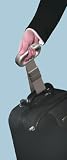 from HoMedics Group Ltd Salter Luggage Scale, Silver (Model 9500 SVDR)