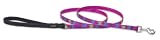 Lupine 1/2 Inch Small Dog Padded Handle Lead-Wing It Pattern- 6 Foot Length