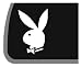 Playboy Bunny Car Decal / Sticker