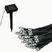 Flipo SOL-50LED Solar Strand Lights Rope
