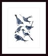 Art Poster Wood Framed Print - Birds - Artist: Aurore de La Morinerie- Poster Size: 16 X 20
