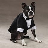 Casual Canine Dog Tuxedo - Dog Costume - Large