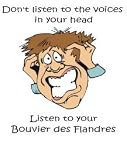 Don't listen to the voices in your head Listen to your Bouvier des Flandres Short Sleeve T-Shirt (Various Shirt Color Choices)