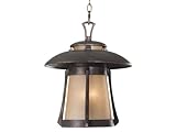 IMAGE OF Kenroy Home 3197 Laguna Hanging Lantern, Golden Bronze
