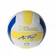 Wilson Acepoint Volleyball Wth4500x-odef Herren Meerball