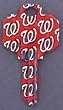 Washington Nationals Schlage SC1 House Key