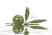 31qdveyShJL. SL75  Oil of Oregano