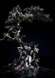 the GazettE LIVE TOUR 12-13【DIVISION】FINAL MELT LIVE AT 03.10 SAITAMA SUPER ARENA [DVD]