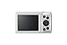 Canon PowerShot ELPH 160 (White)
