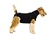 Recovery Suit for Dogs - Dog Surgery Recovery Suit with Clip-Up System - Breathable Fabric for Spay, Neuter, Skin Conditions, Incontinence -33-42 cm Neck to Tail - XXS Dog Suit by Suitical, Black
