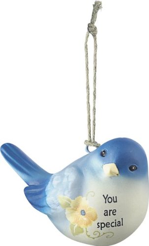 Ganz You are Special Blue Bird Of Happiness Ornament Measures: 2.25″ x 2″ Ganz You are Special Blue Bird Of Happiness Ornament Measures: 2.25″ x 2″