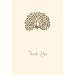 Graphique de France Proud Peacock Boxed Thank You Notes, 4.25 x 5.5 Inches, Cream (L811CB)