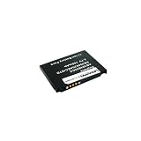 Lenmar Replacement Battery for Samsung SGH-D840 and SGH-D848
