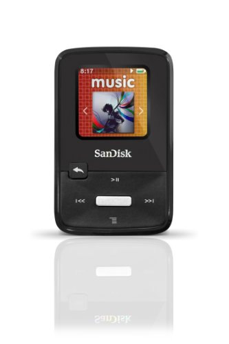 SanDisk Sansa Clip Zip 4 GB MP3 Player SDMX22-004G-E46K (Black)