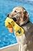 Doggles Yellow Get Wet Duck Dog Toy