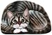 Striped Tabby Kitty Pupperweight