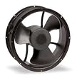 Dayton 4WT44 Fan, 665 CFM, 115 V
