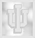 Indiana Hoosiers Wall Mirror NCAA College Athletics Fan Shop Sports Team Merchandise