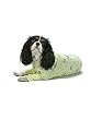 YELLOW - MEDIUM - Sweet Dreams K-9 Pajamas