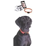 Radio Systems Bark Control Collar