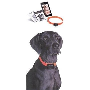 Radio Systems Bark Control Collar