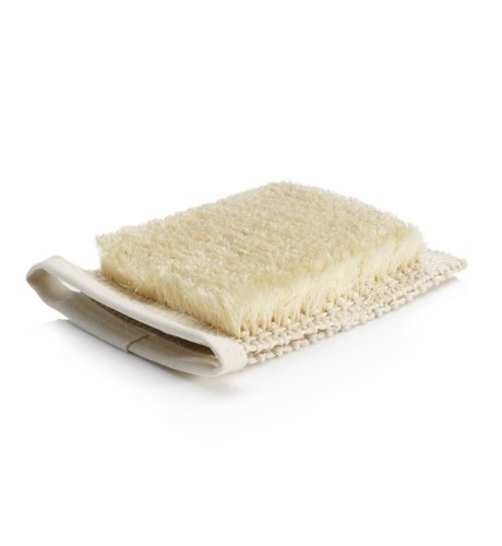 Body Brush Mitt