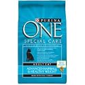 Purina ONE Advanced Hairball and Healthy Weight Management Formula for Cats (16-lb bag)