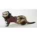 Marshall Ferret Parka Jacket with Fur Trimmed Hood