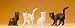 Preiser 47063 4 Cats