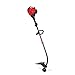 Troy-Bilt 25-cc 2-Cycle 17-in Curved Shaft Gas String Trimmer and Edger