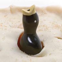 PIE BIRD - BX
