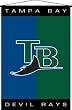 MLB Baseball Deluxe Wallhanging Tampa Bay Devil Rays - Room Decoration - Team Sports Fan Shop