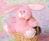Plush Baby Pinky Bunny 8