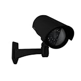 Defender PH300 Imitation Security Camera with Realistic Flashing Red LED