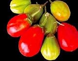 Red Eggplant 20 Seeds - Gilo - RARE - B000UVA324